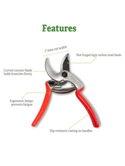 Castellari Mini Anvil Pruner 10 Castellari Mini Anvil Pruner -Garden Care Shop 8612199 5