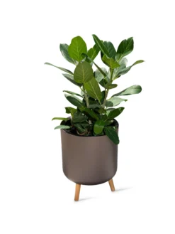 Ava Self-Watering Round Planter -Garden Care Shop 8612692 0003