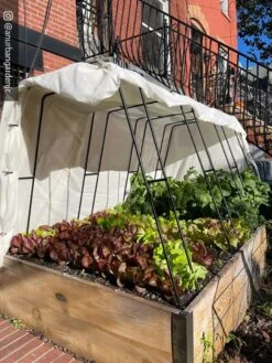 Cotton All Purpose Garden Cover 9 Cotton All Purpose Garden Cover -Garden Care Shop 8612816 01CUST