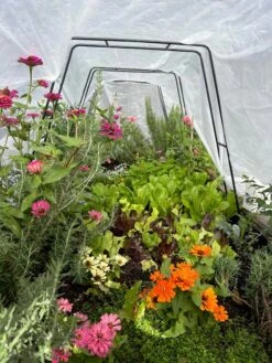 Zenith Garden Hoops, Set Of 4 -Garden Care Shop 8612816 01TEST