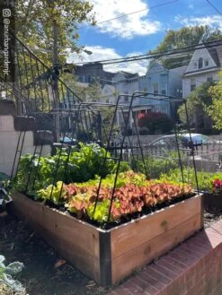 Zenith Garden Hoops, Set Of 4 -Garden Care Shop 8612816 02CUST