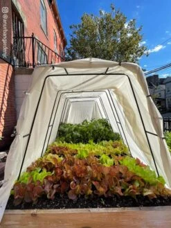 Cotton All Purpose Garden Cover 10 Cotton All Purpose Garden Cover -Garden Care Shop 8612816 03CUST