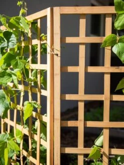Bamboo Zig-Zag Trellis 24" X 36" 16 Bamboo Zig-Zag Trellis 24" X 36" -Garden Care Shop 8613151 6491