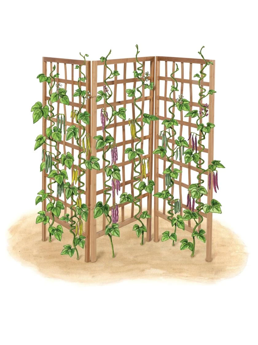 Bamboo Zig-Zag Trellis 24" X 36" 8 Bamboo Zig-Zag Trellis 24" X 36" - Image 8