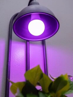 Kira Grow Light Hanging Planter -Garden Care Shop 8613232 5663