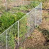 Chicken Wire Critter Fence, 16" High