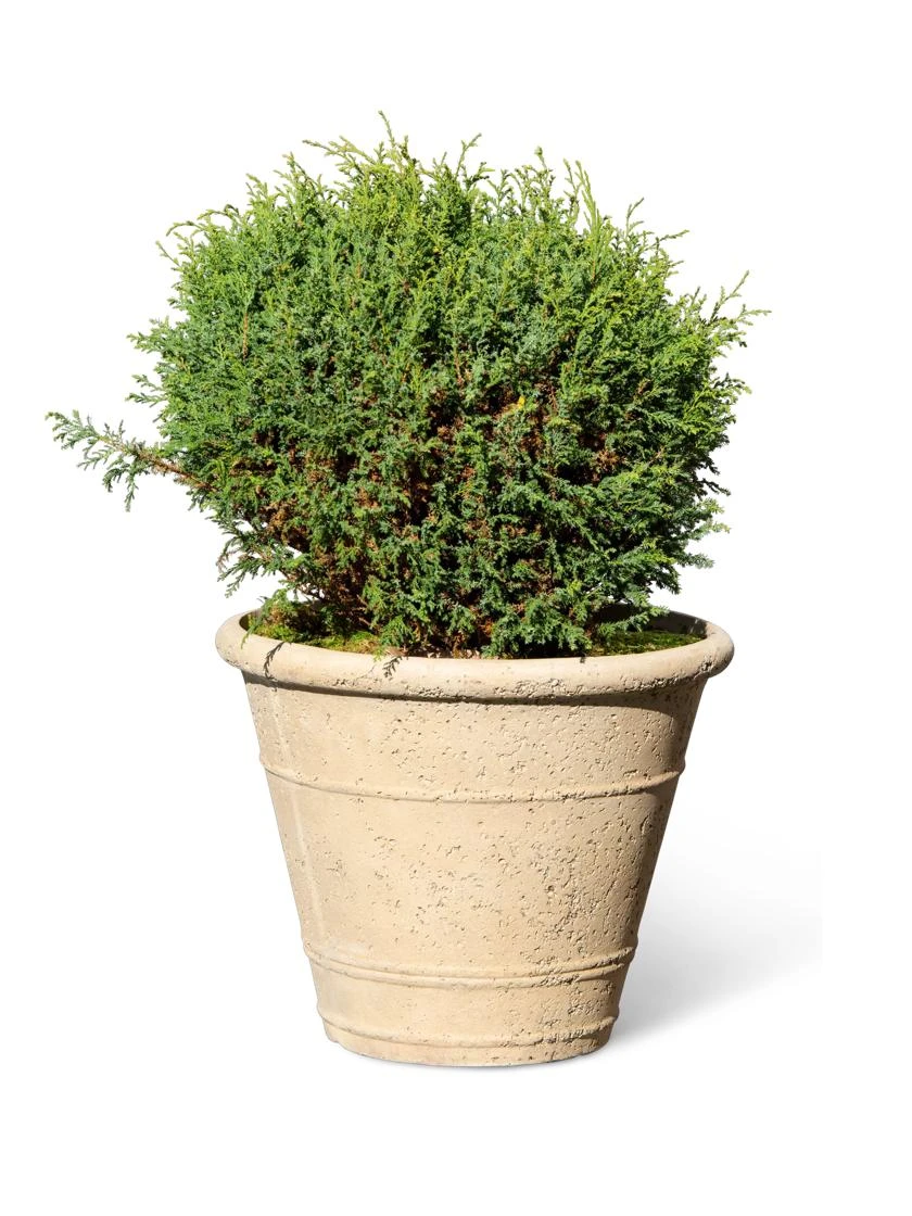 Self-Watering LavaStone® Anson Pot 5 Self-Watering LavaStone® Anson Pot - Image 5
