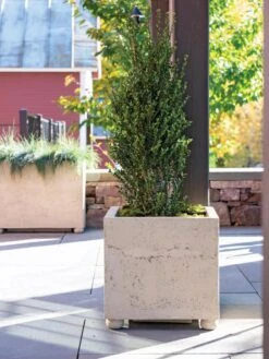 Self-Watering LavaStoneĀ® Modern Square