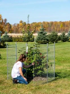 Tall Chicken Wire Critter Fence Extension Panel, Set Of 2 -Garden Care Shop 8613260 0044