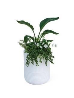 Arden Round Planter -Garden Care Shop 8613267 0115