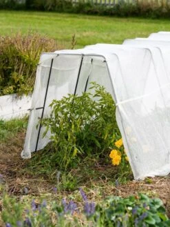 Zenith Garden Hoops, Set Of 4 -Garden Care Shop 8613313 0133