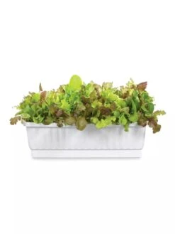 31" Self-Watering Window Box 5 31" Self-Watering Window Box -Garden Care Shop GS36523 01Z 3 4