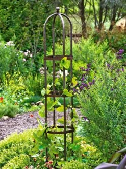 Jardin Bird Cage Support, 26" 8 Jardin Bird Cage Support, 26" -Garden Care Shop GS39529 01 tif