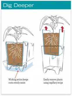 Stoneware Self-Watering Windowsill Planters, Set Of 2 9 Stoneware Self-Watering Windowsill Planters, Set Of 2 -Garden Care Shop hiw 8593943 jpg