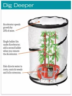 Tomato TLC Kits, Set Of 3 -Garden Care Shop hiw 8594214 jpg