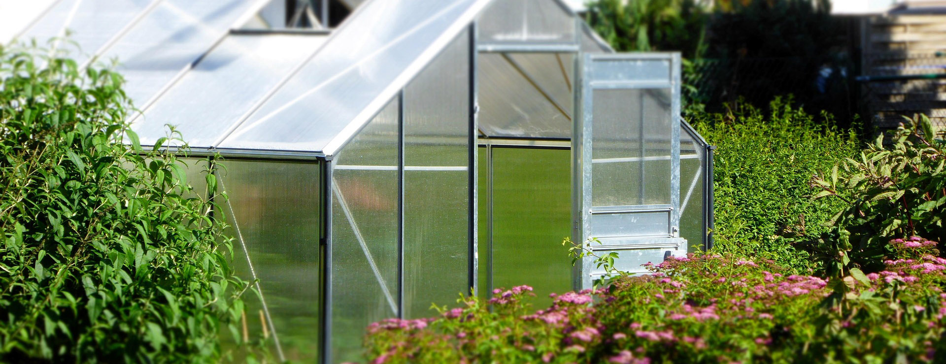 Front Page 4 Front Page -Garden Care Shop greenhouse 827464 1920